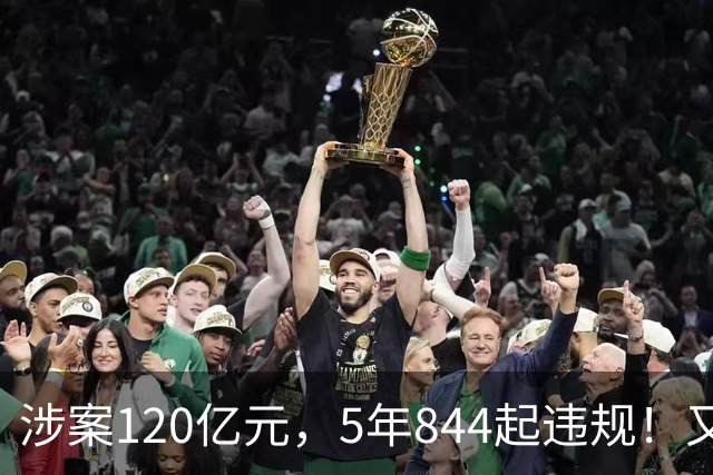 涉案120亿元，5年844起违规！又一世界龙头企业被认定大规模造假